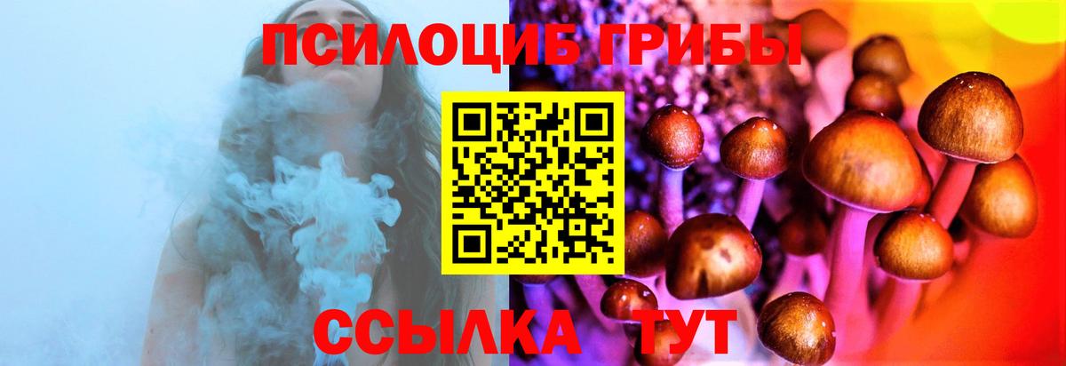 Галлюциногенные грибы ЛСД  Вход с VPN  Галлюциногенные грибы Magic Shrooms  Егорьевск 